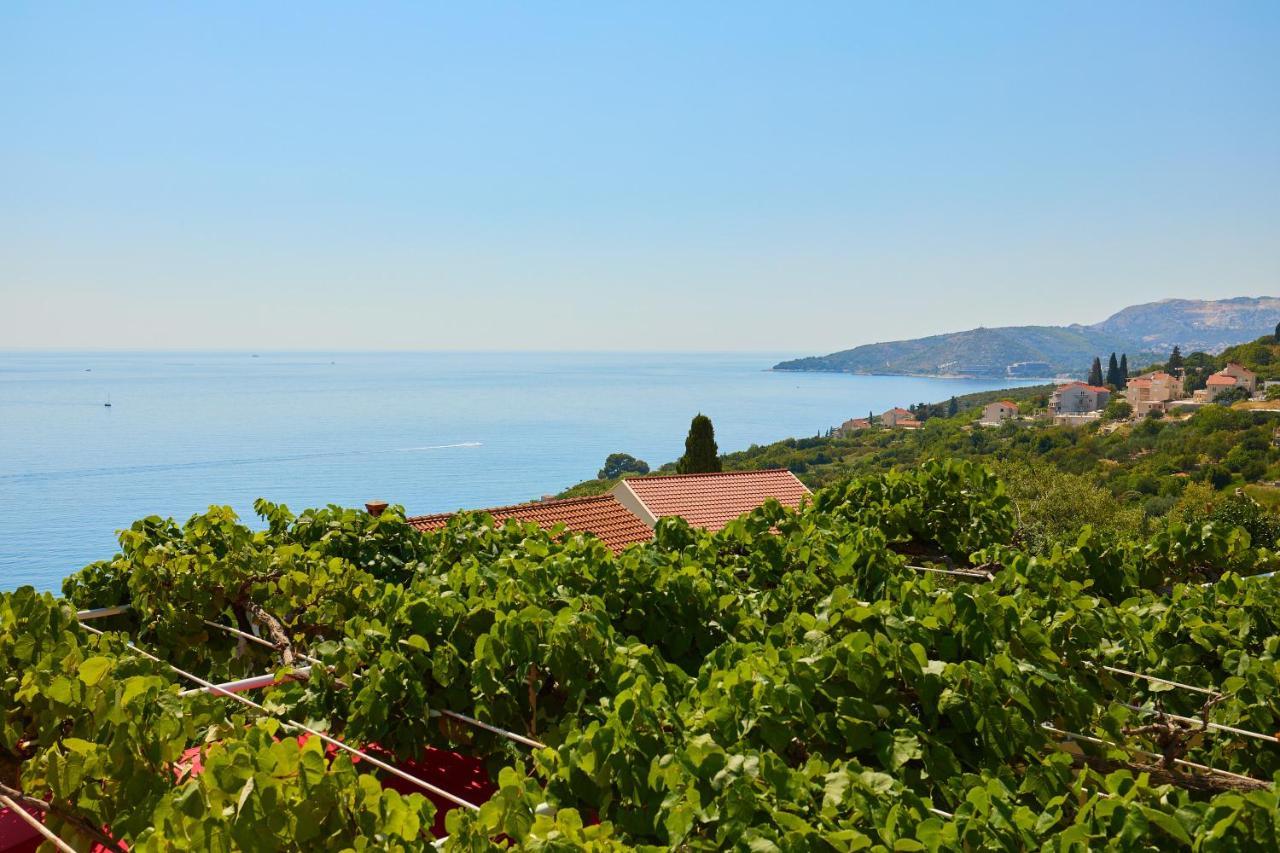 Apartman Ani Mlini Bagian luar foto